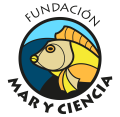 Logo-circular-lineaN